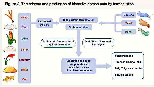 Cereal fermentation healthy by-products